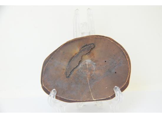 صورة رخامية لمدينة رم الاثرية